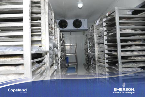 制冷壓縮機 制冷壓縮機