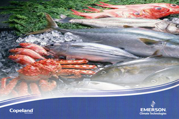 冷庫建設 冷庫建設